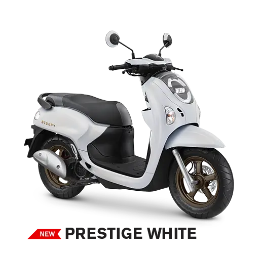 SCOOPY